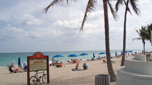 Miami + Fort Lauderdale Beach one-day tour[Lion Wildlife Kingdom + Palm Beach] Day Tours