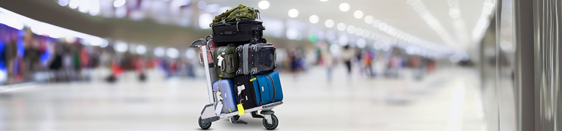 Airport Shuttle Transfers