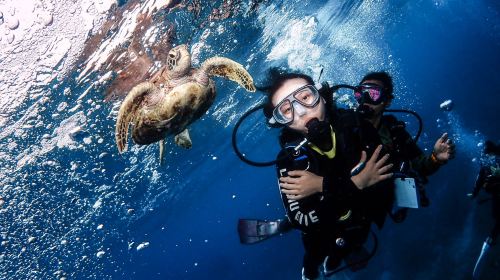 Pingtung Liuqiu Island Diving Experience diving diving 2 Hours [Xiaoliuqiu diving& Sea Turtle Tour | Liuqiu Diving]