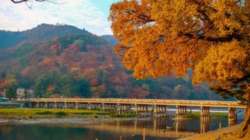Kyoto: 2-Hour Guided Tour of Arashiyama's Autumn Leaves Day Tours