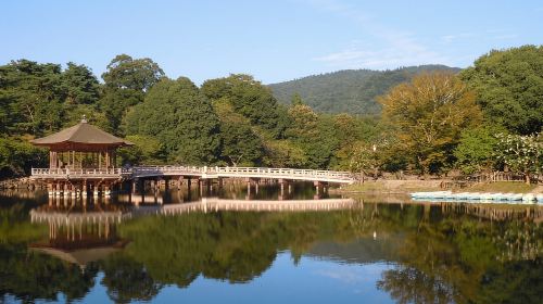 Nara: Todai-ji y parque de Nara (Spanish Guide) Day Tours