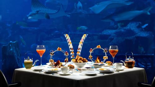[Instant Booking, Same-Day Use] Atlantis Hotel Ossiano Underwater Restaurant + Underwater Aquarium + Seafood Feast + Atlantis Hotel Tour