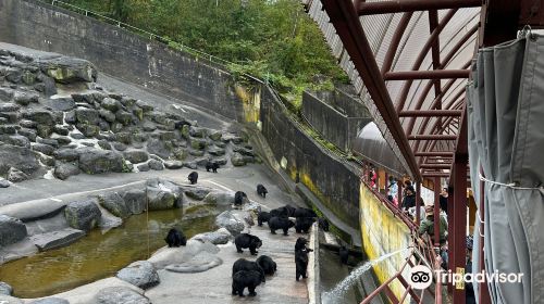 Okuhida Bear's Ranch