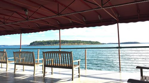 Boston Harbor Fall Foliage Weekend Brunch Cruise Day Tours