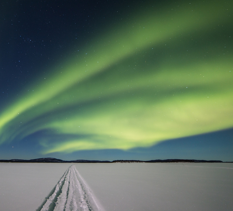 Ivalo: Lake Inari Northern Lights Tour w/ Reindeer & Dinner