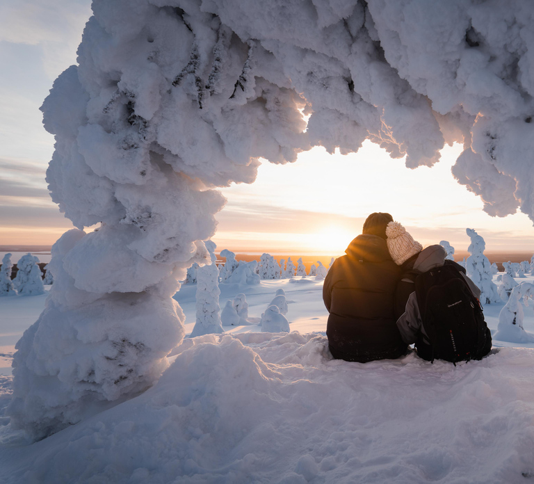 From Rovaniemi: Riisitunturi Full-Day Wilderness Adventure