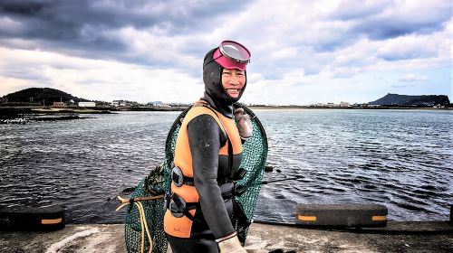Full-Day Private Tour in Jeju Scenic East Coast