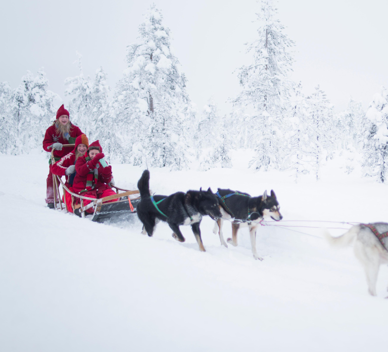 Rovaniemi: Meet Santa's Most Trusted Husky Dogs