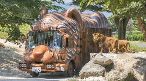 1-Day Tour of Kyushu's Fairy Tale Nature in Japan · Zoo · Yufuin Fairy Tale Street · Mountain Views Day Tours