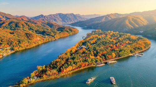 Round Round-trip from Seoul - Nami Island + Petite France + Italian Village one-day tour Day Tours