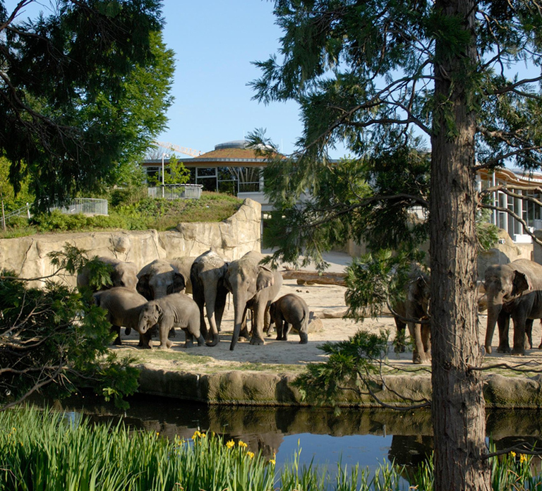 Cologne: Cologne Zoo and Aquarium Entry Ticket
