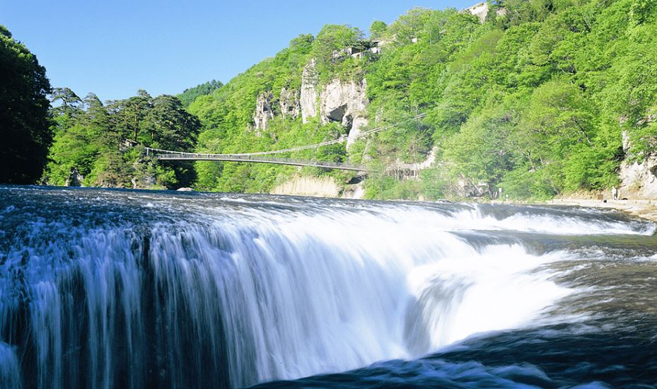Harada Farm Four Seasons Fruit Picking & Fukiwara Falls & Gunma Lavender