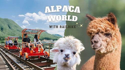 Alpaca World with Gangchon Rail Park One Day Tour Day Tours