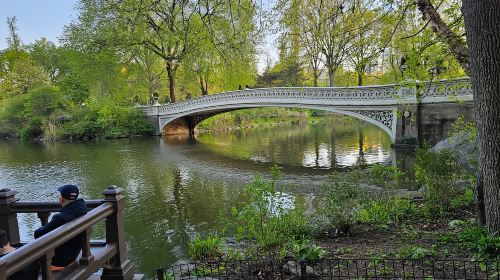 Central Park, NY: Nature, Architecture and Movie Scenes Tour Day Tours