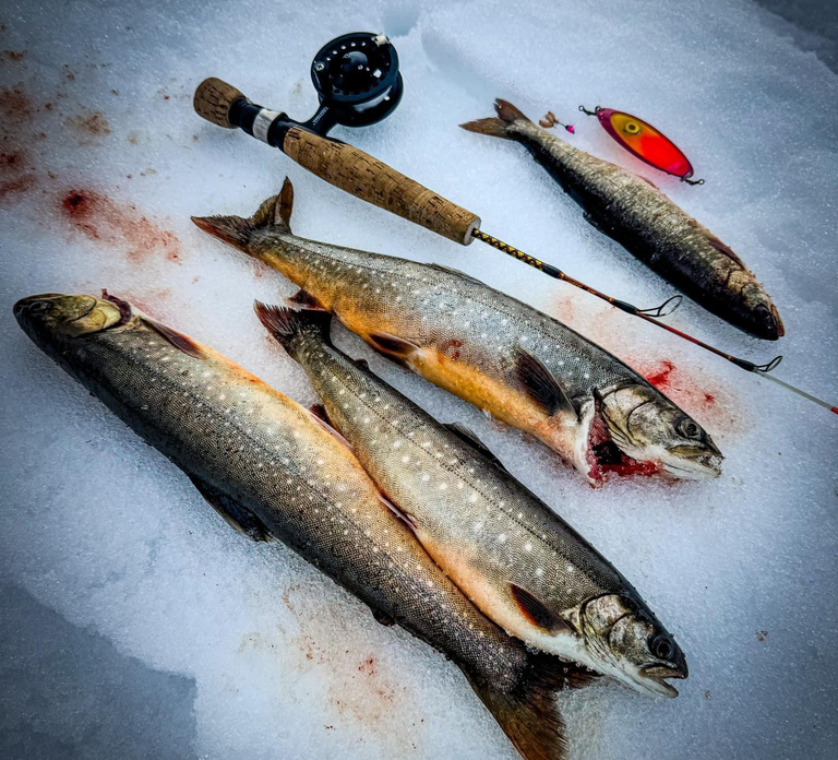 Saariselkä kakslauttanen: Ice Fishing Experience + barbecue