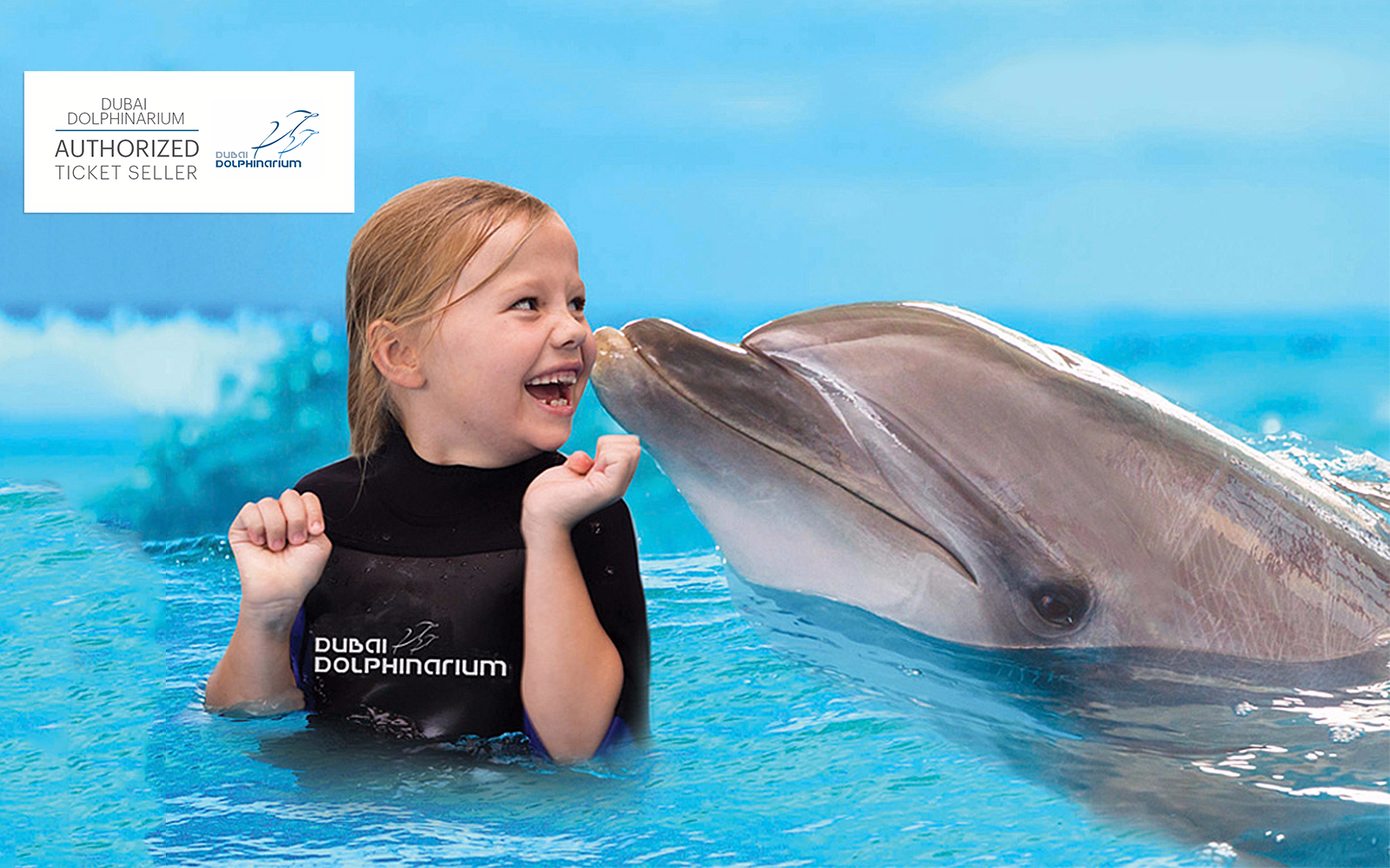 Dubai Dolphinarium: Swimming With Dolphins