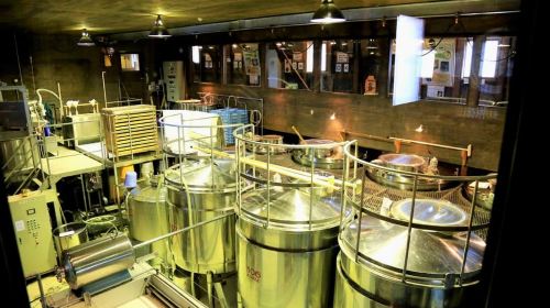 Otaru Aquarium, Ropeway, Cinematic Bus Tour from Sapporo Day Tours