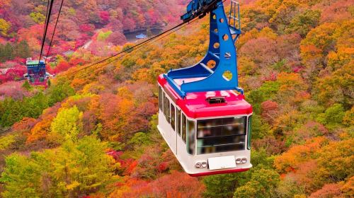 Seoul: Classic Naejangsan National Park Shuttle Bus Day Tours