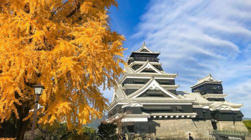 1-day tour to Kumamoto Castle, Mount Aso and Kusasenri with complimentary Mount Aso shuttle service Day Tours - HolidaySG