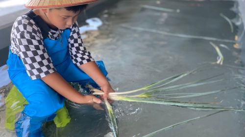 Chumi Experience Farm - HolidaySG