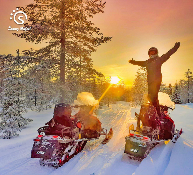 From Rovaniemi: Snowmobile Safari into Arctic Wilderness
