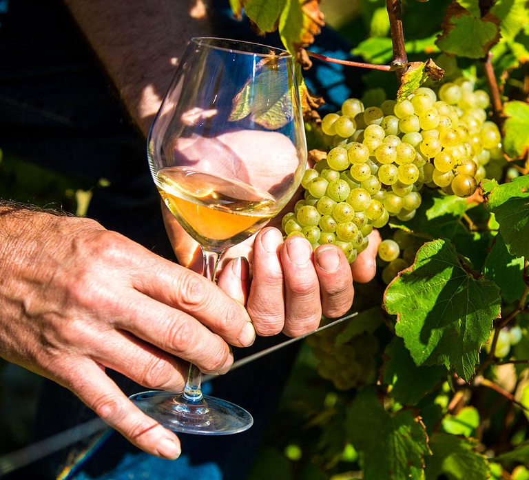 Nice: Provence Village Tour with Wine and Produce Tasting