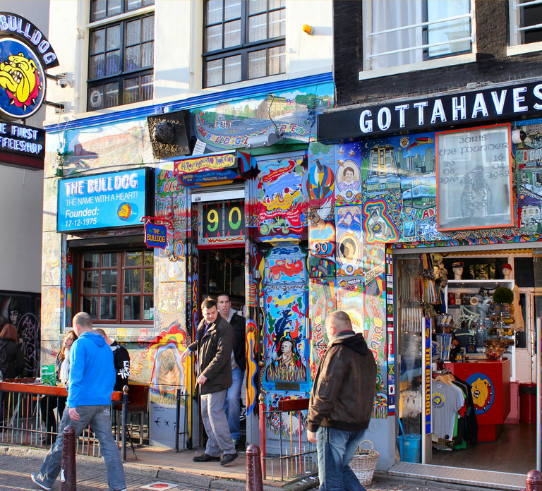 Amsterdam: Coffee Shops Walking Tour
