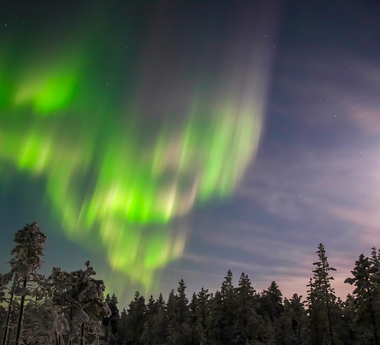 Levi: Northern Lights Hunting Photo Tour