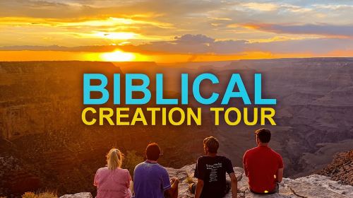 Grand Canyon: Sunset Tour from Biblical Creation Perspective Day Tours