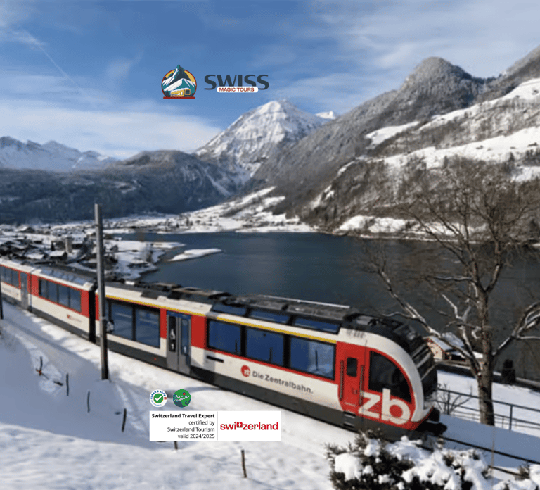 Exclusive Panoramic train journey though the heart of swiss