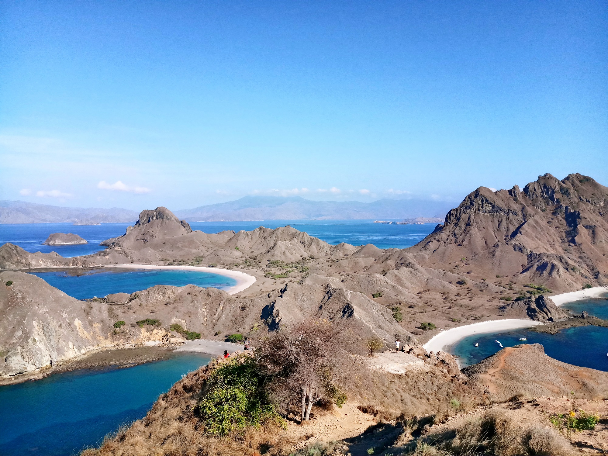 Explore Komodo Island Tour by East Cruise Komodo - HolidaySG