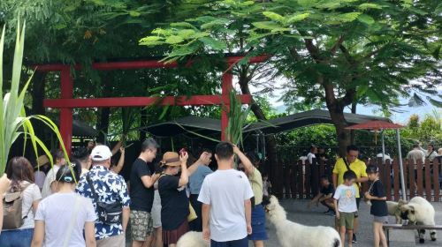 Yilan Classic Tour: Zhang Mei Farm & Qingshui Geothermal DIY (Hotel Pickup from Taipei) Day Tours