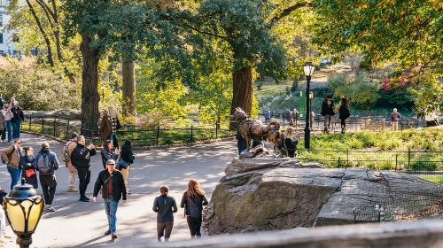 NYC: Central Park Guided Pedicab Tour Day Tours