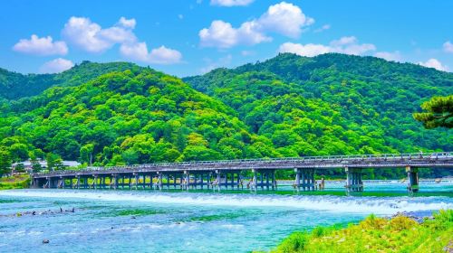 Kyoto Arashiyama + Meet Nara's Cute Deer + Stroll Through Fushimi Inari Day Tour, Sagano, Togetsukyo Bridge Day Tours