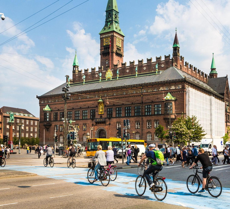 Bike Tour of Copenhagen: The Little Mermaid & Hidden Gems
