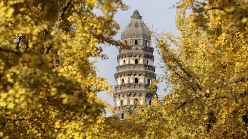 Suzhou City Highlights Day Tour|Humble Administrator's Garden, Tiger Hill, Lion Grove, Hanshan Temple Day Tours