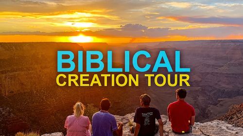 4-Hour Biblical Creation + Sunset Tour • Grand Canyon National Park South Rim Day Tours