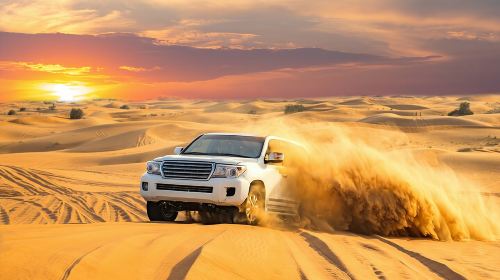 Desert Safari-Red dune Jeep Safari-Dubai Day Tours