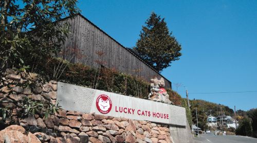 Manekineko Museum