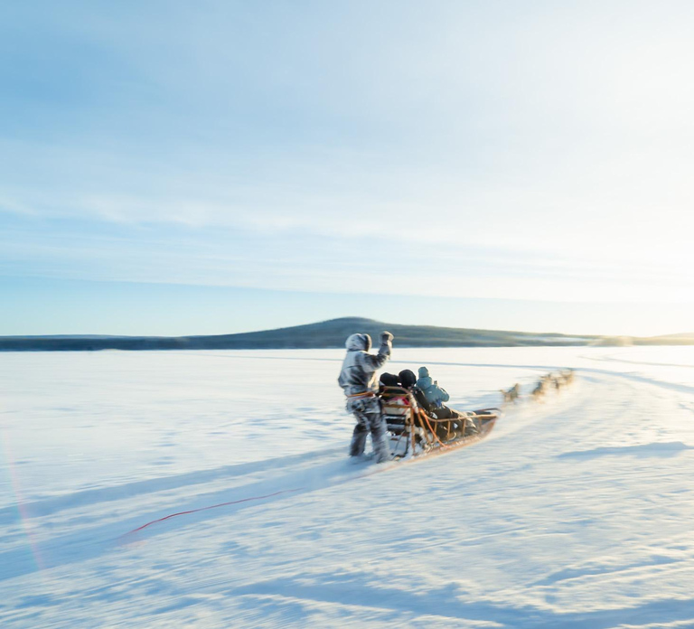 Rovaniemi: Insider 5km Husky Sledding Tour