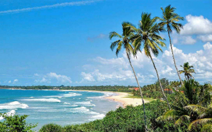 Sri Lanka Tour 5 Days 4 Nights