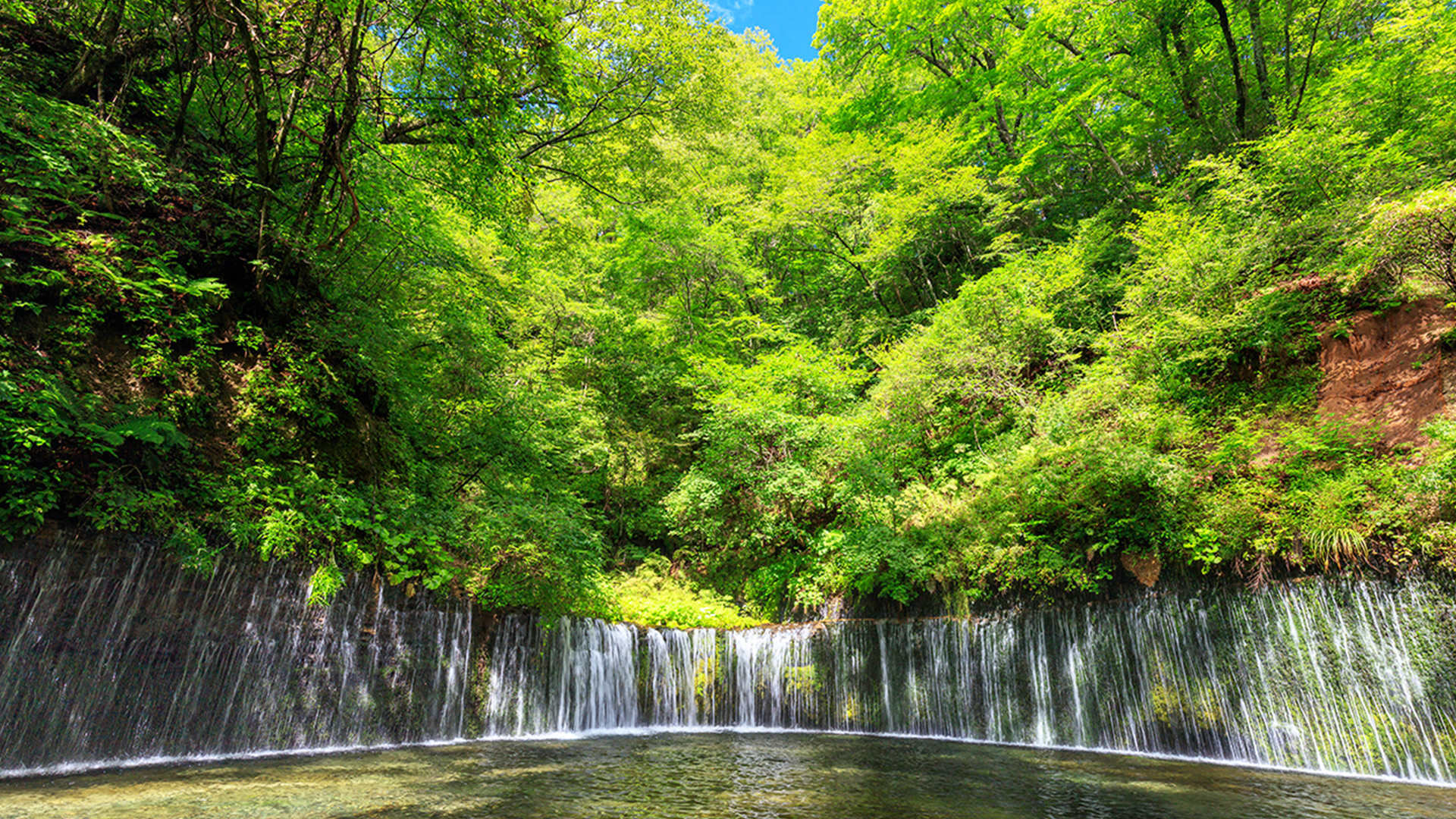 One-day tour to Karuizawa Koedo | Karuizawa Prince Outlet or Hoshino Resorts + Hikawa Shrine + Kawagoe Koedo