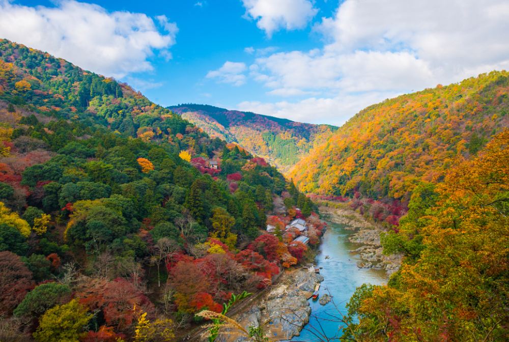 Kyoto Arashiyama 1-day Tour [Sagano Scenic Railway, Bamboo Forest Path, Tenryu-ji Temple] Visit Hidden Gems