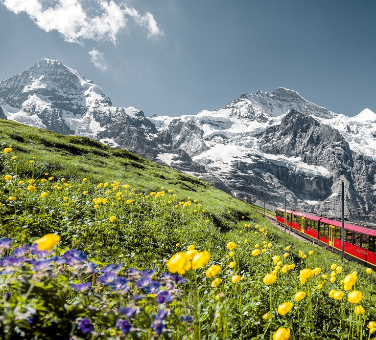 From Zurich or Lucerne: 2-Day Jungfraujoch Tour