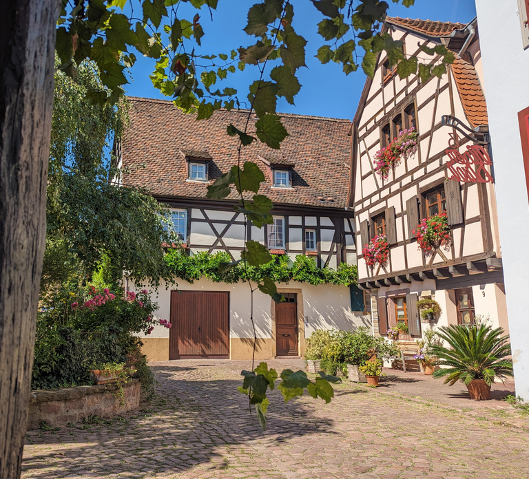 Colmar: Unusual Walking Tour with a local guide