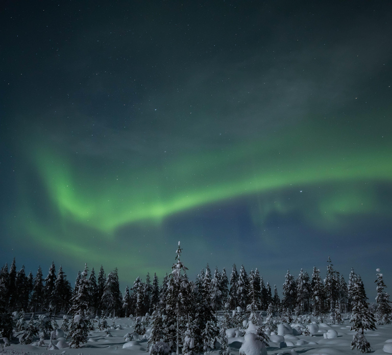 Rovaniemi: Northern Lights Tour with Chinese Guide