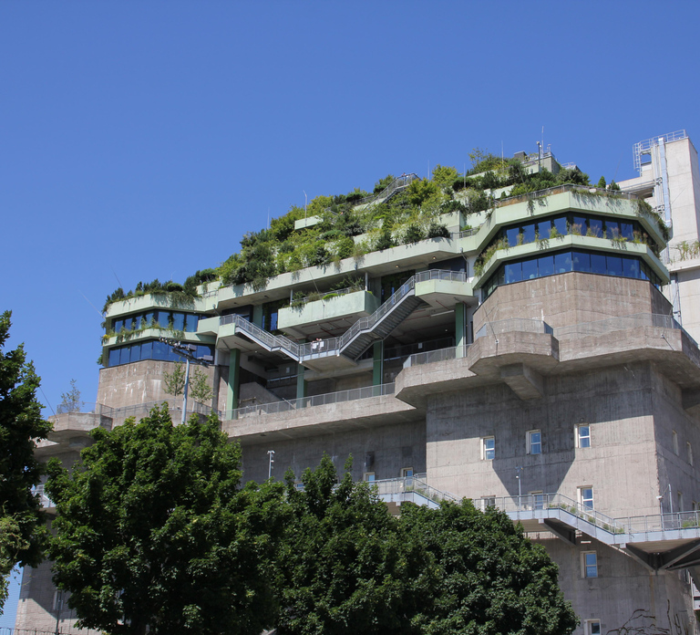 Hamburg: St. Pauli's "Green Bunker" Tour – above the rooftops of Hamburg