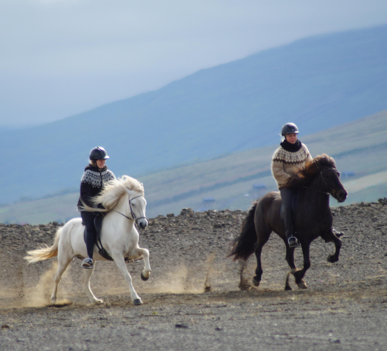 North Iceland: Horseback Riding Tour