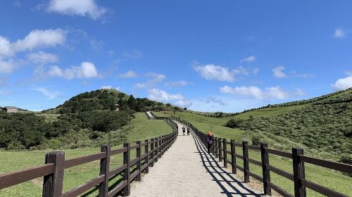 Half Day Private Tour to Yangmingshan National Park and Yehliu Geopark Day Tours