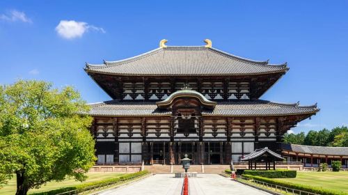 Nara: Enjoy the Highlights of Nara in 3 Hours Day Tours